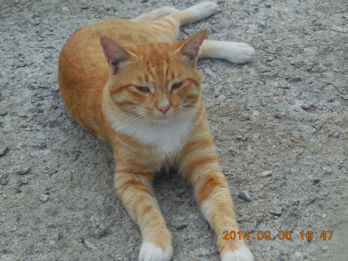 DSCN7291.JPG
