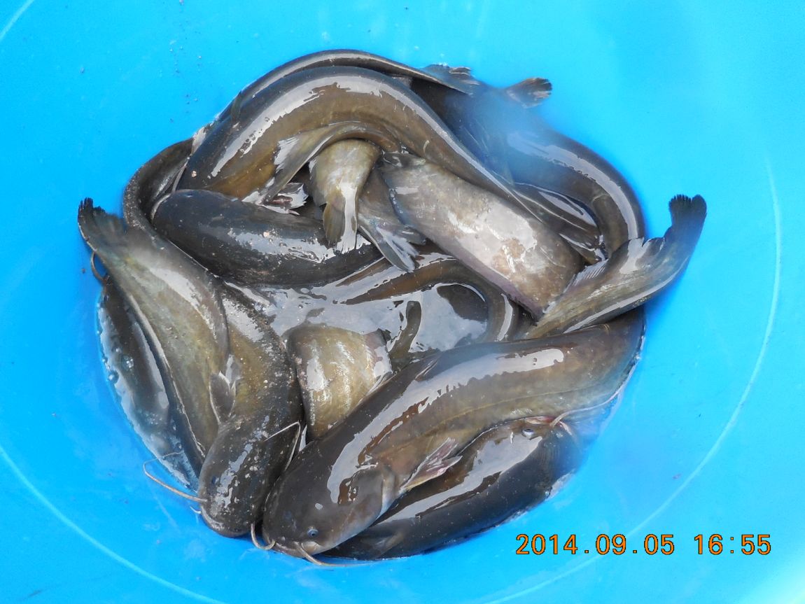 DSCN7298.JPG