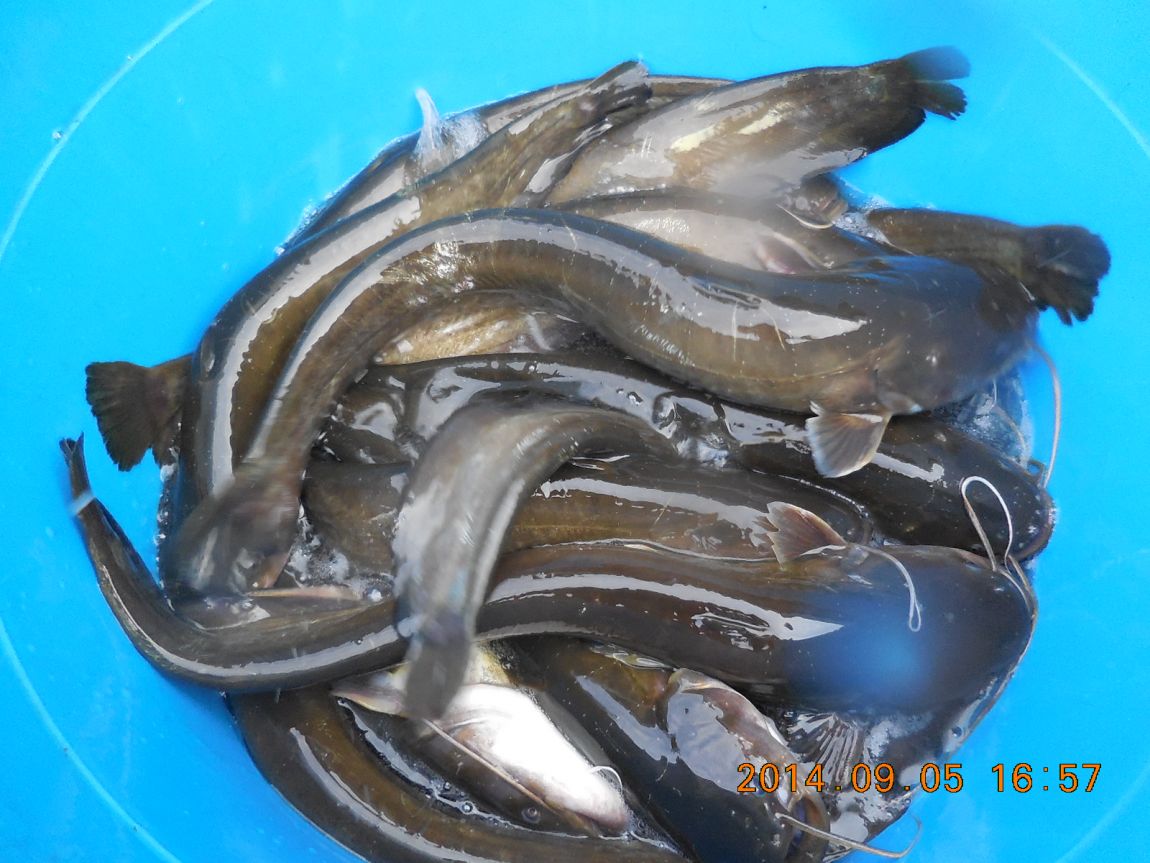 DSCN7302.JPG
