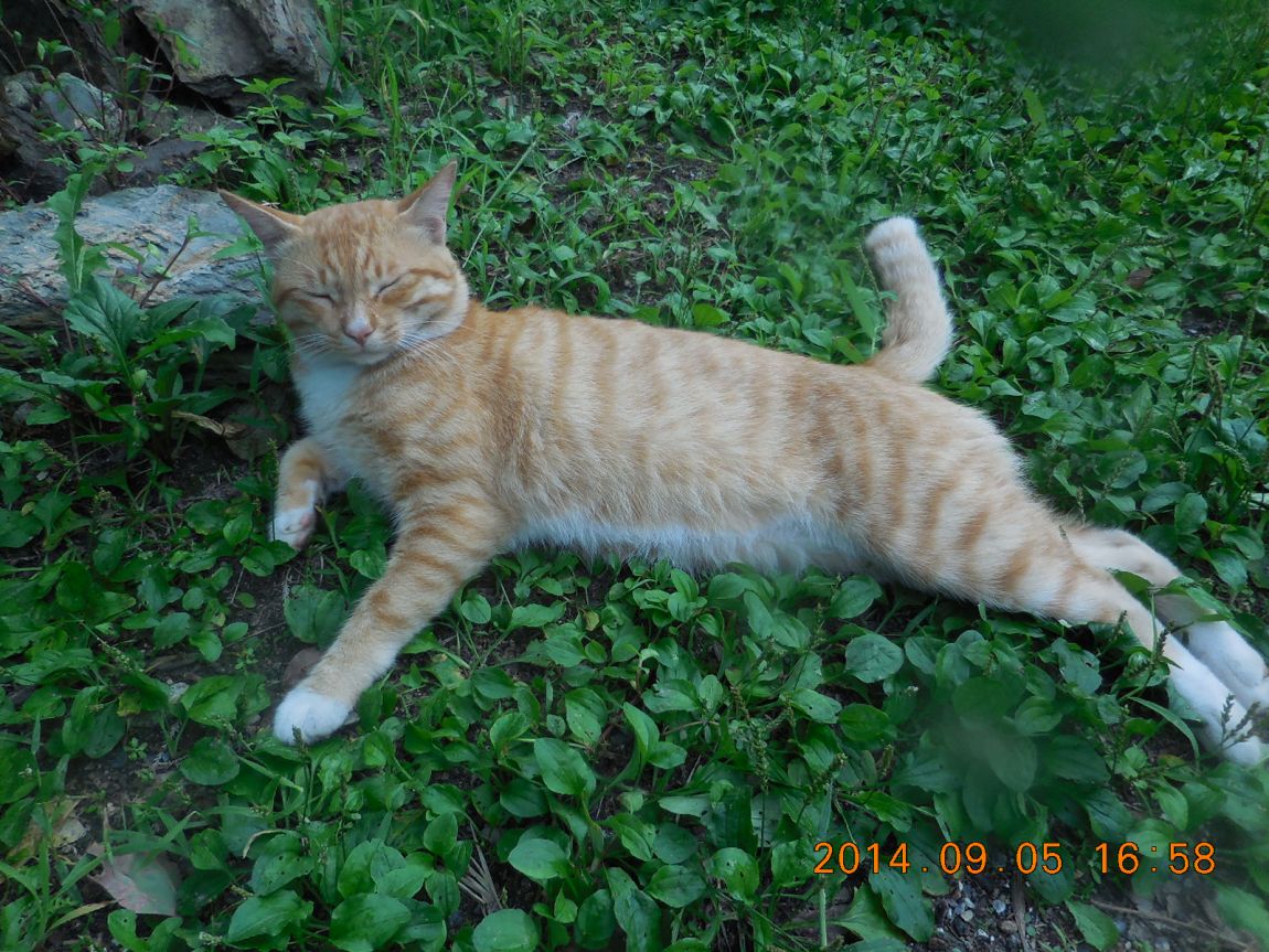 DSCN7303.JPG