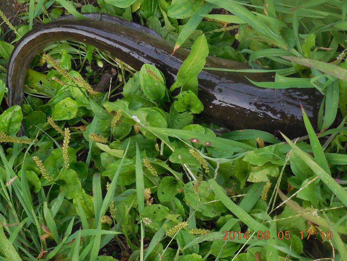 DSCN7318.JPG
