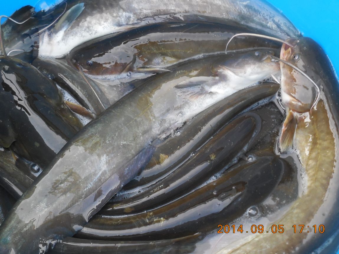 DSCN7320.JPG