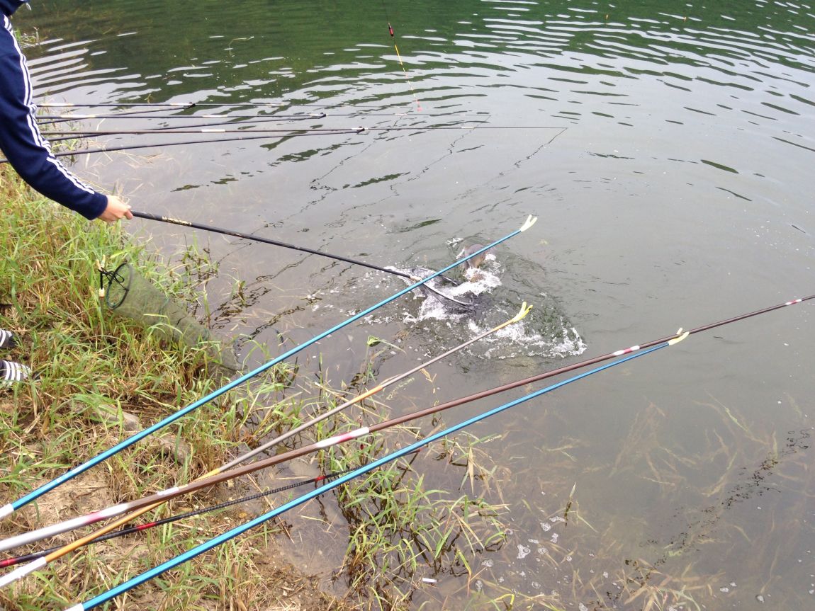 ���� 012.jpg