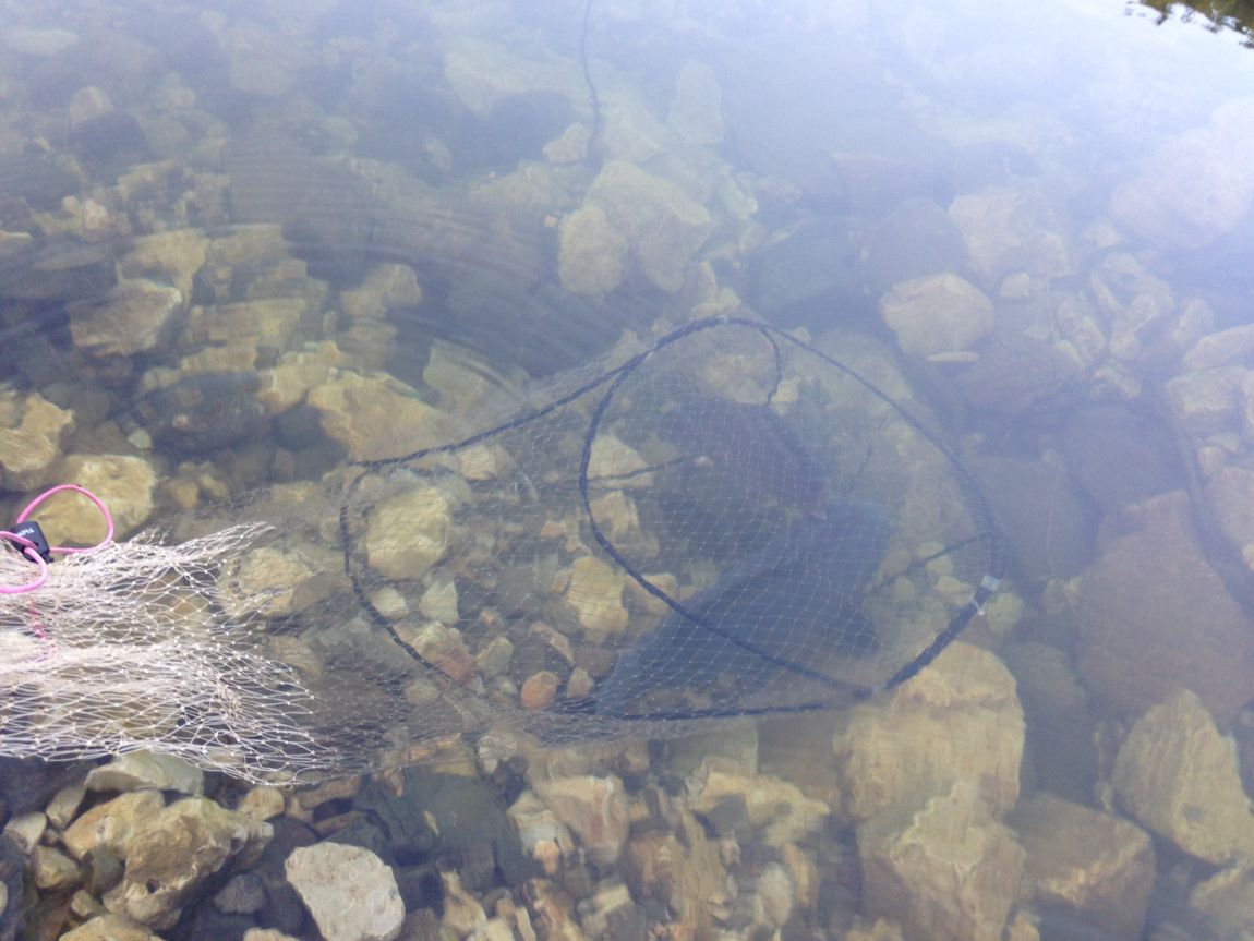 ���� 002.jpg