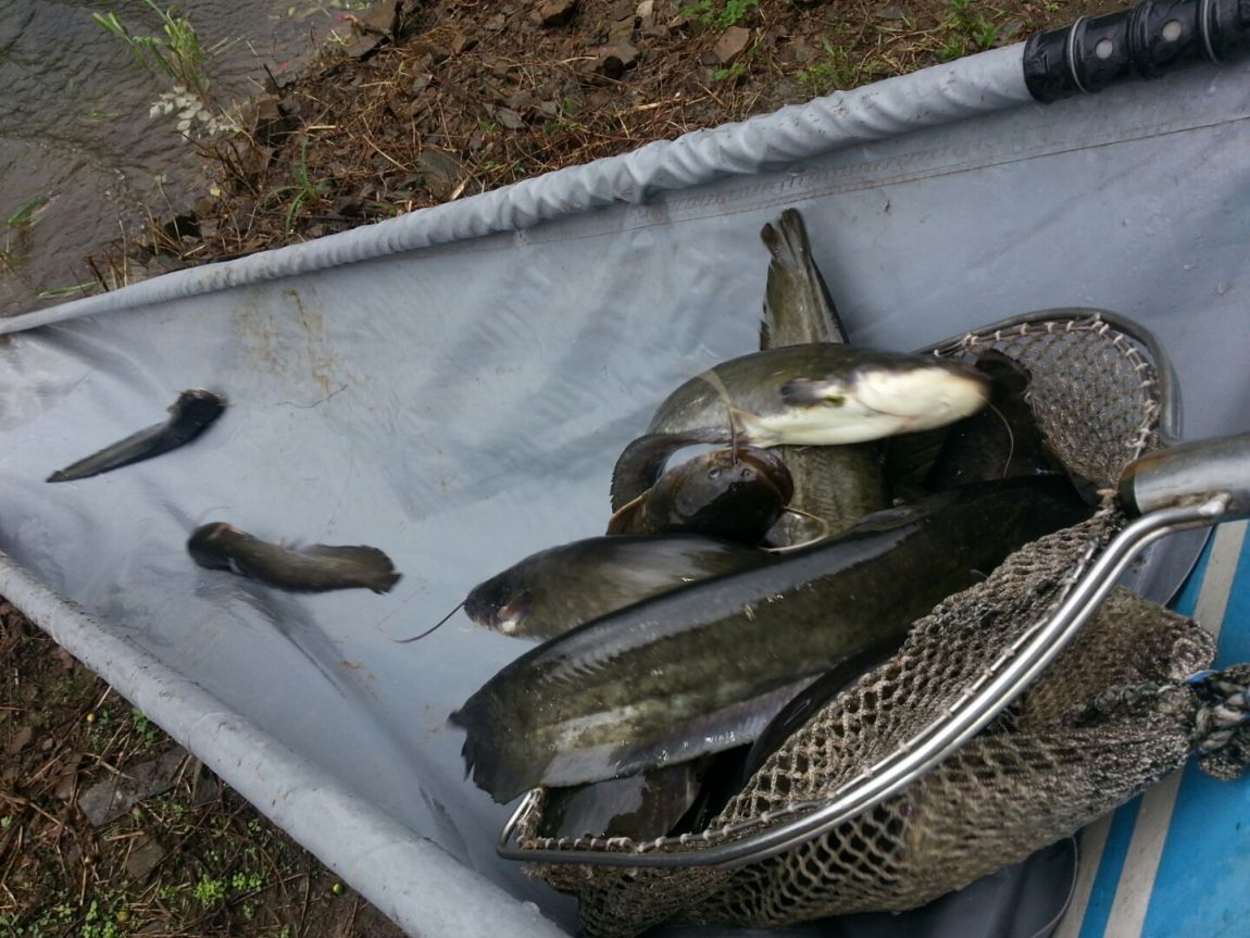 ���� 003.jpg