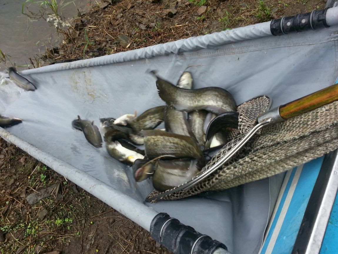 ���� 004.jpg