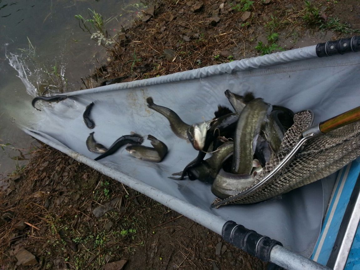 ���� 005.jpg