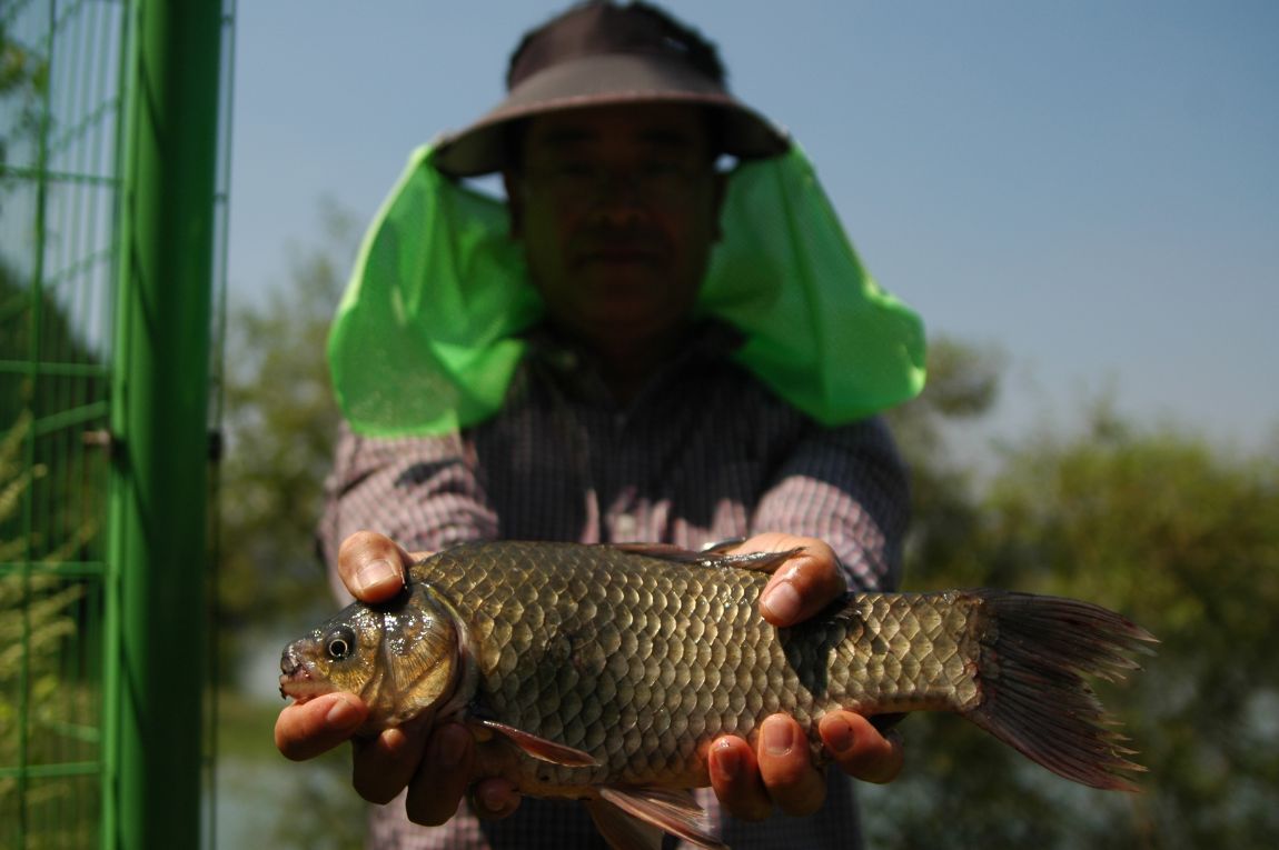 DSC_5270.JPG