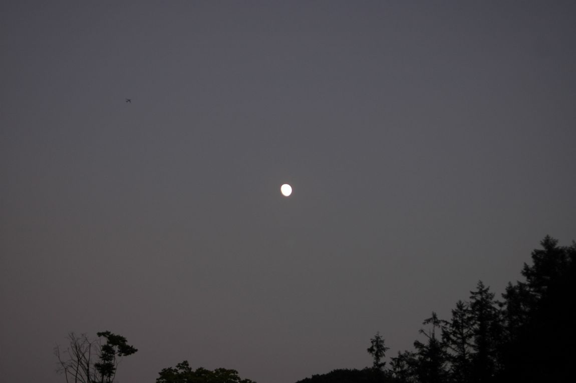 DSC_5300.JPG