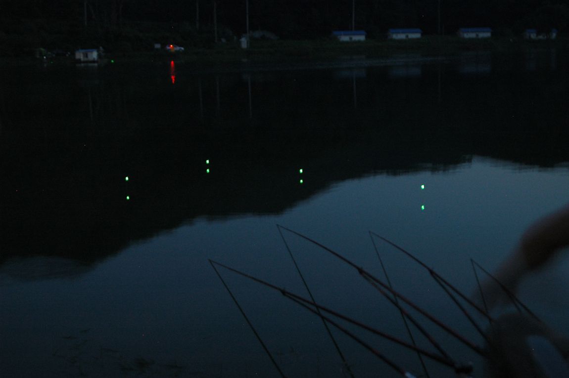 DSC_5307.JPG
