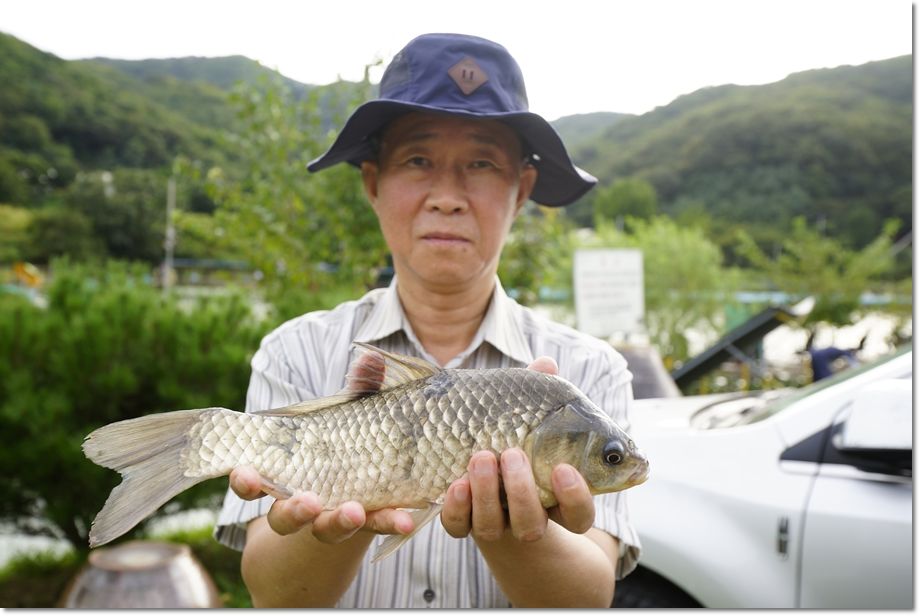 _DSC9465.JPG