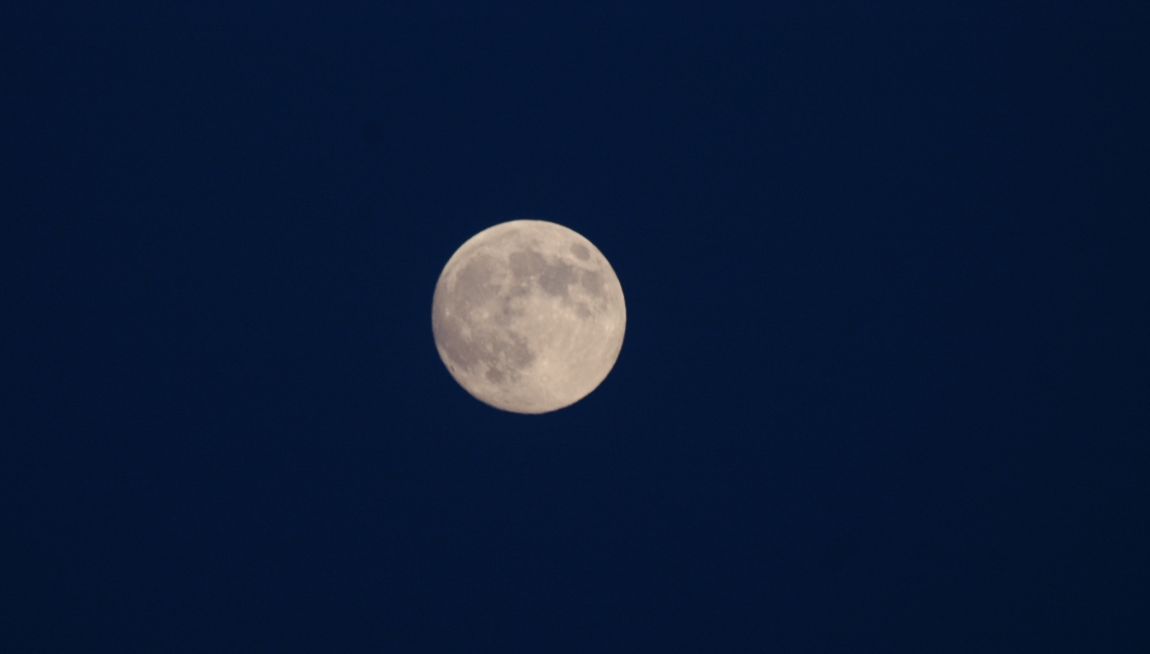 DSC_5420.JPG