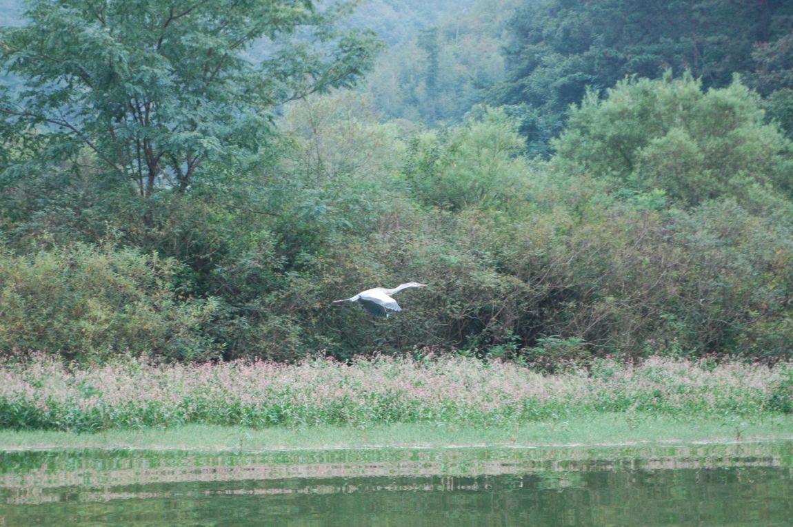 DSC_5349.JPG