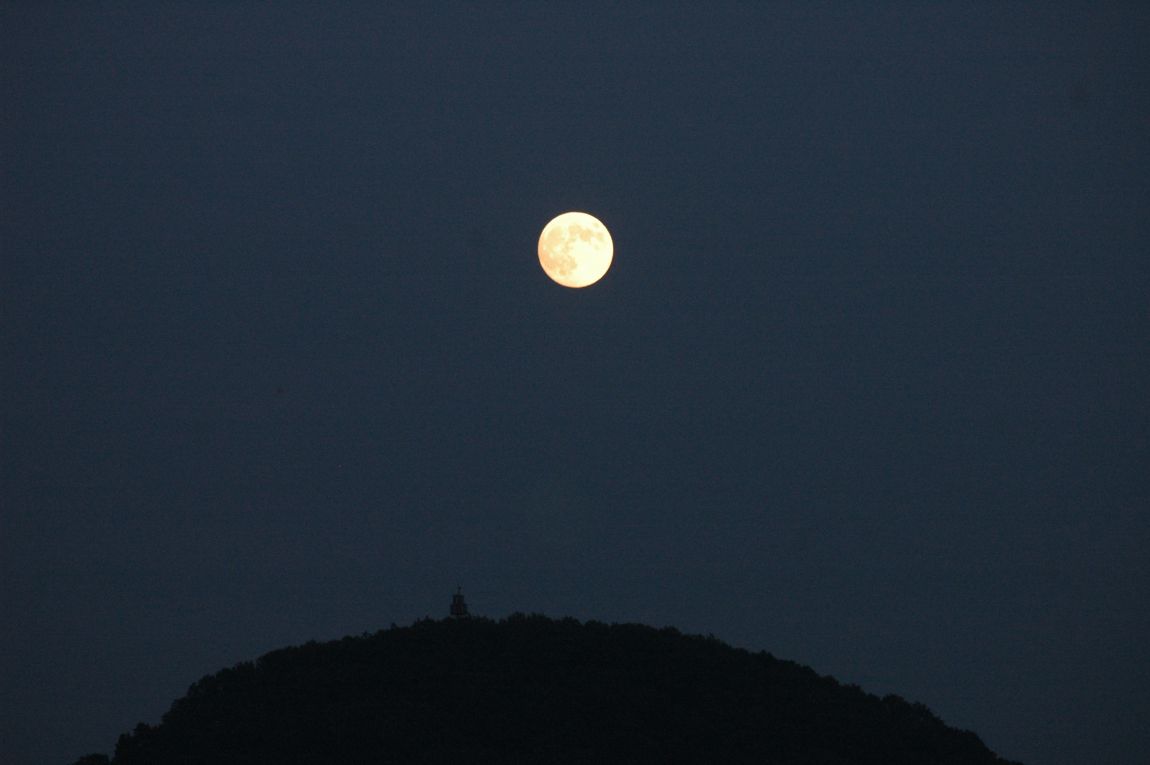 DSC_5422.JPG