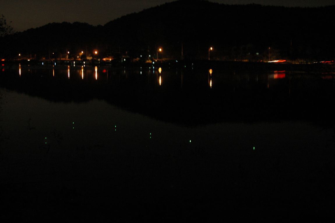 DSC_5455.JPG