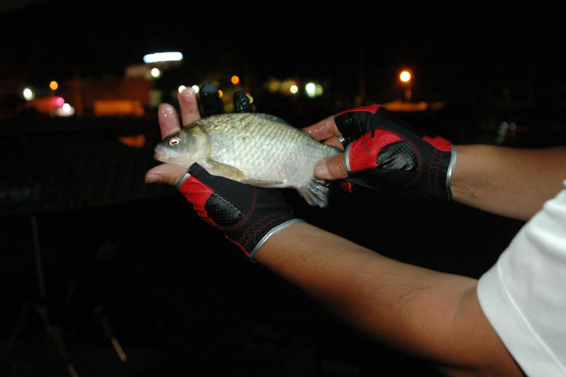 DSC_5474.JPG