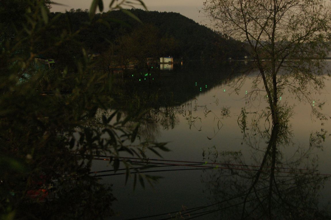 DSC_5478.JPG