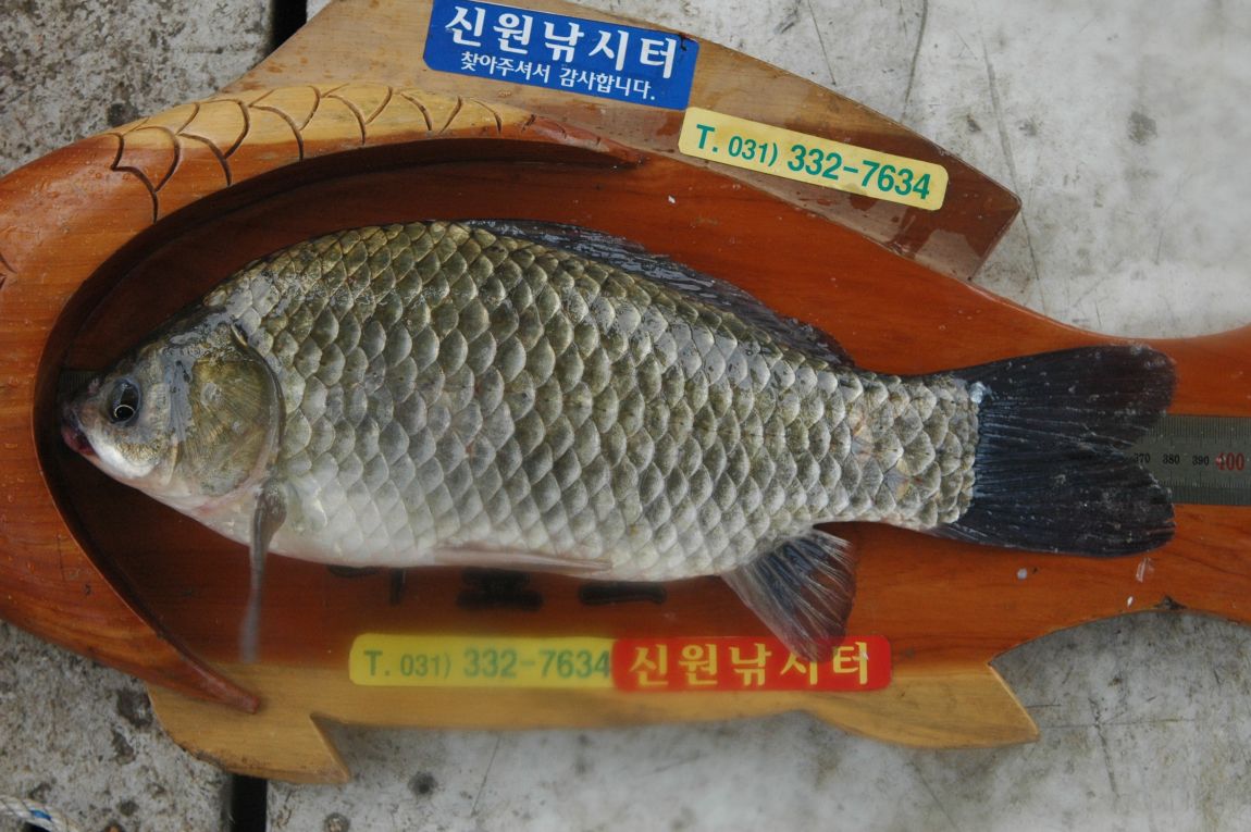 DSC_5526.JPG
