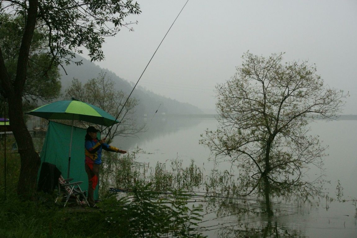 DSC07501.jpg
