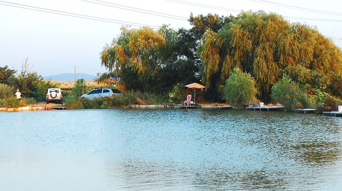 �ٹ̱�_DSC_0055.JPG