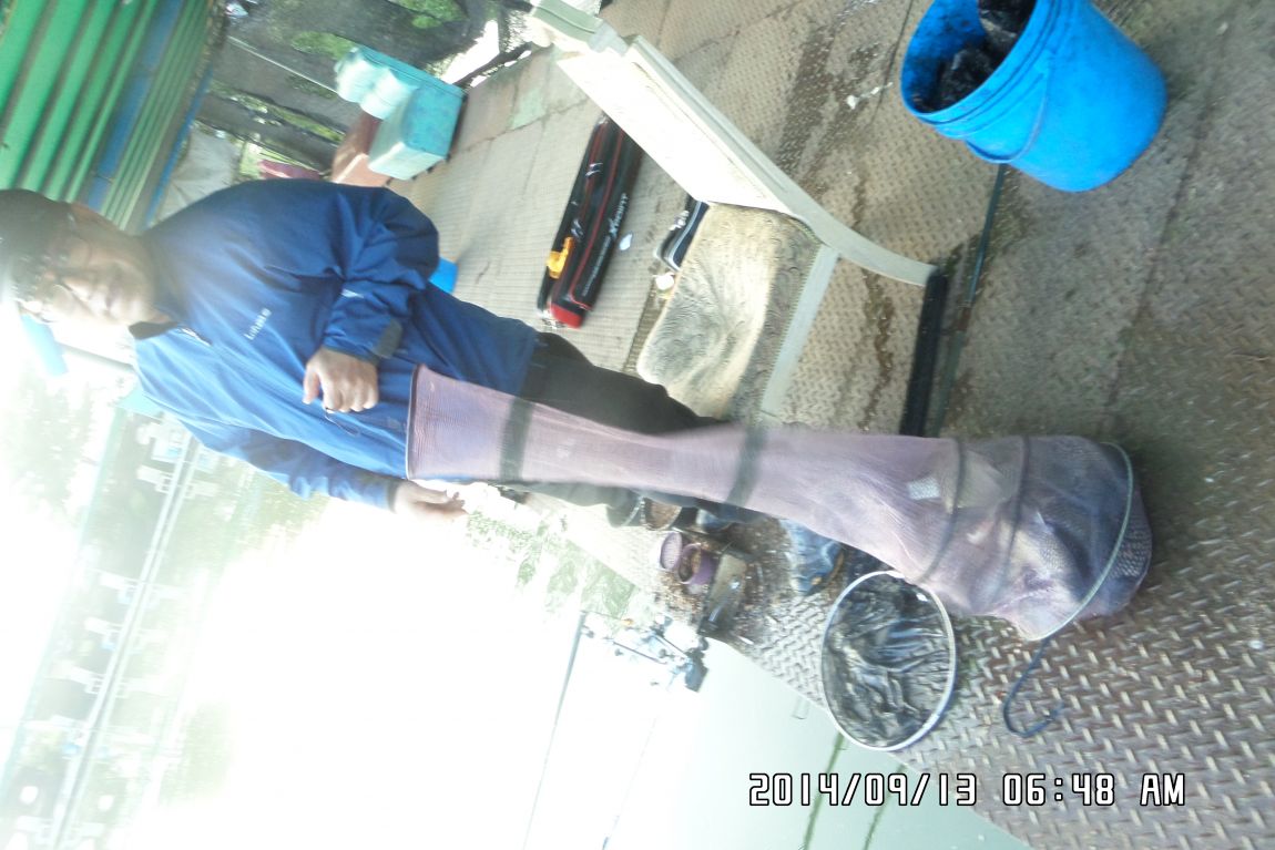 SAM_3401.JPG