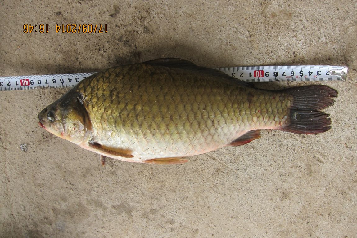 9��18�� 008.JPG