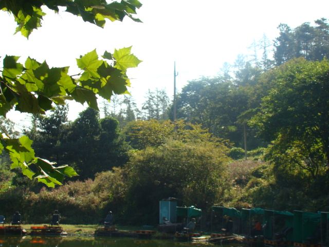 DSC06331.JPG