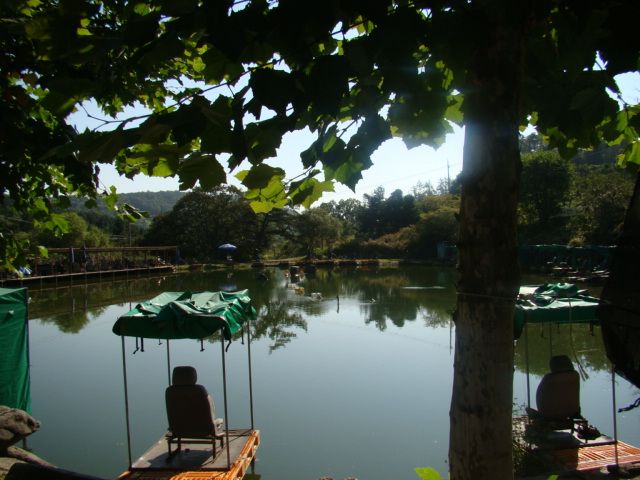 DSC06330.JPG