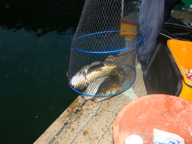DSC06321.JPG