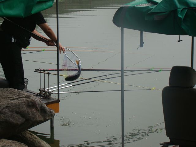 DSC06272.JPG