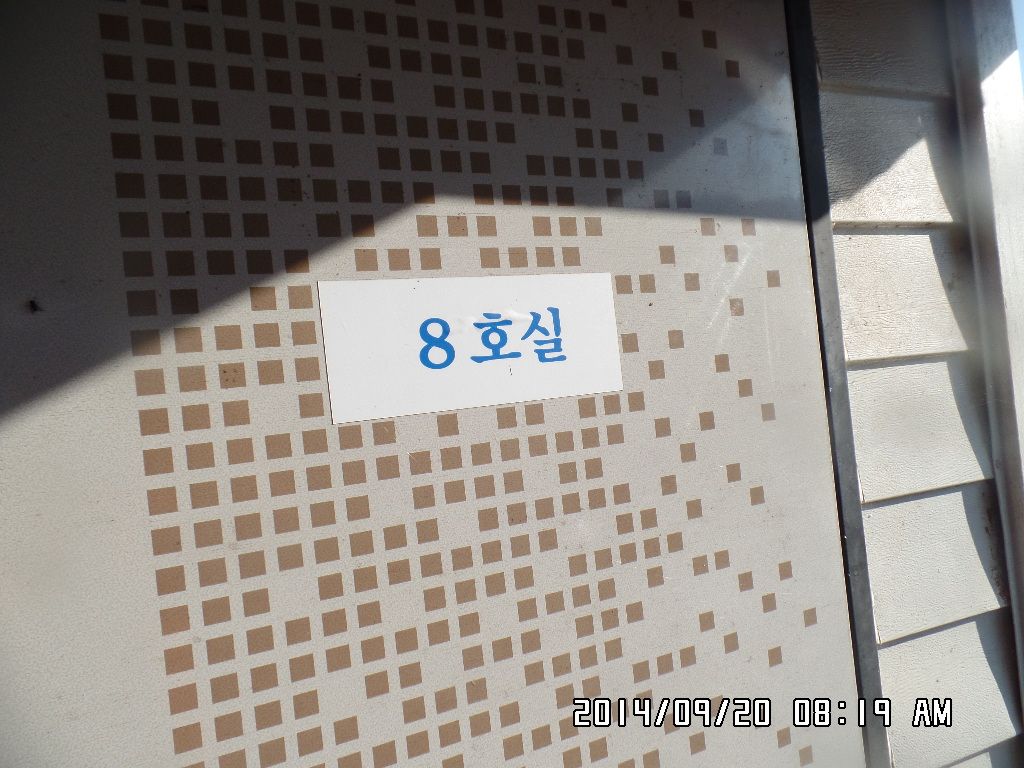 SAM_2162.JPG