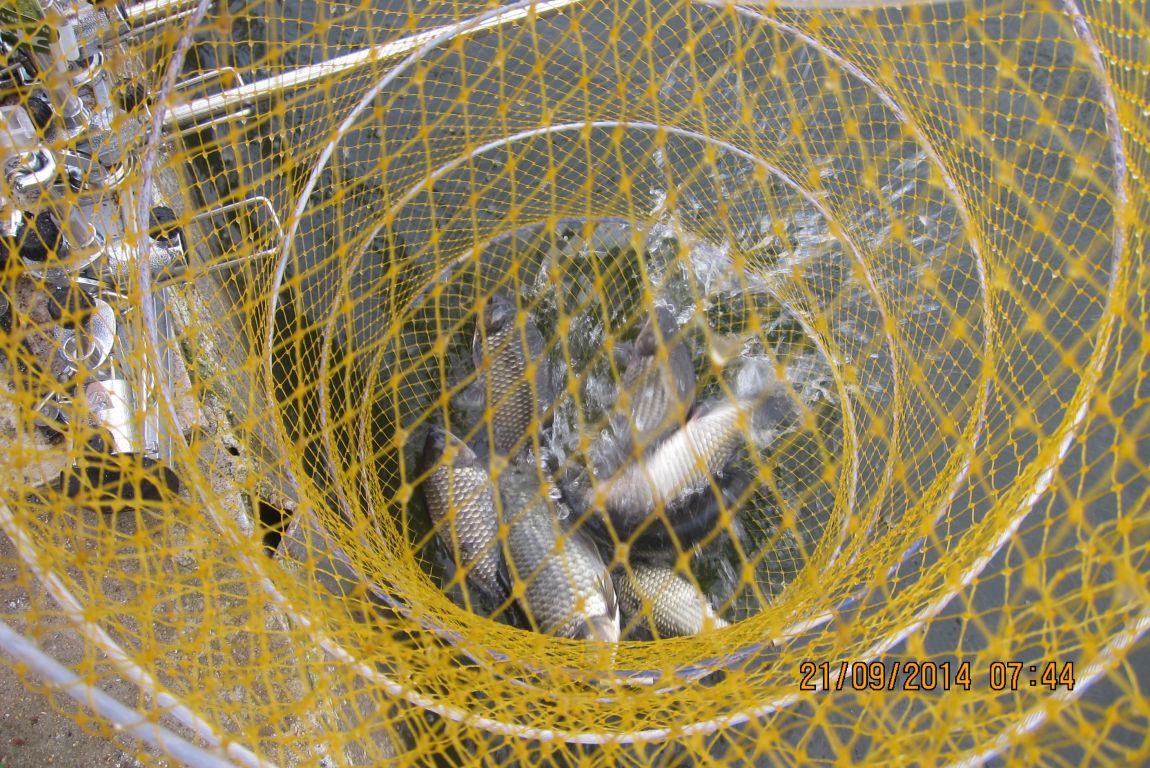 9��21 006.JPG