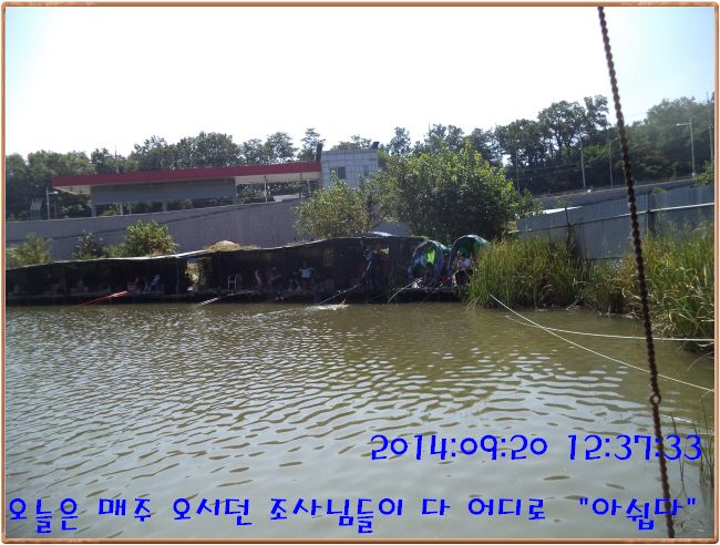 ٹ̱_DSC03713.JPG