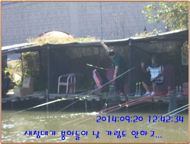 ٹ̱_DSC03716.JPG