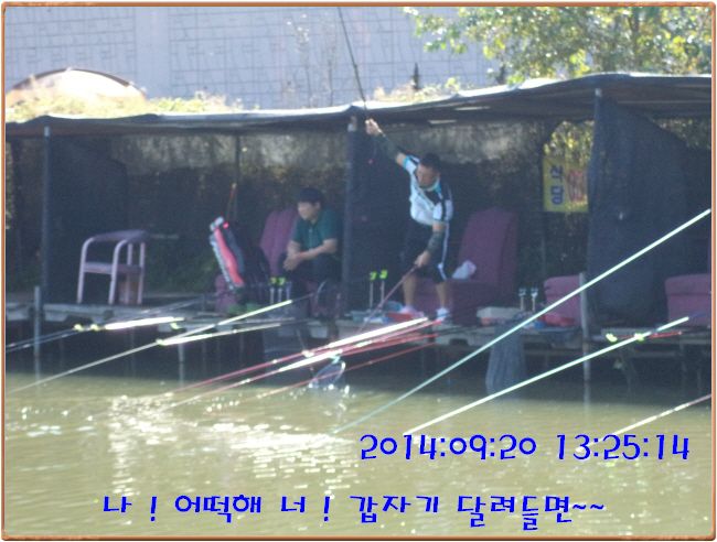 ٹ̱_DSC03720.JPG