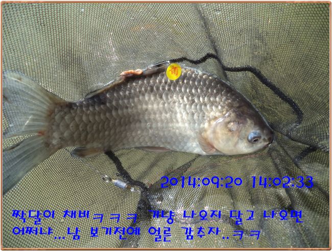 ٹ̱_DSC03733.JPG