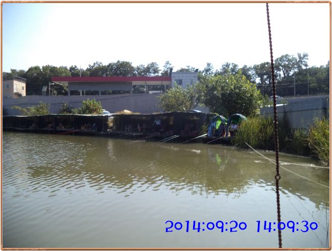 ٹ̱_DSC03734.JPG