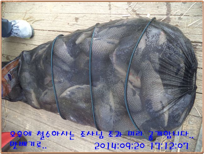 ٹ̱_DSC03761.JPG