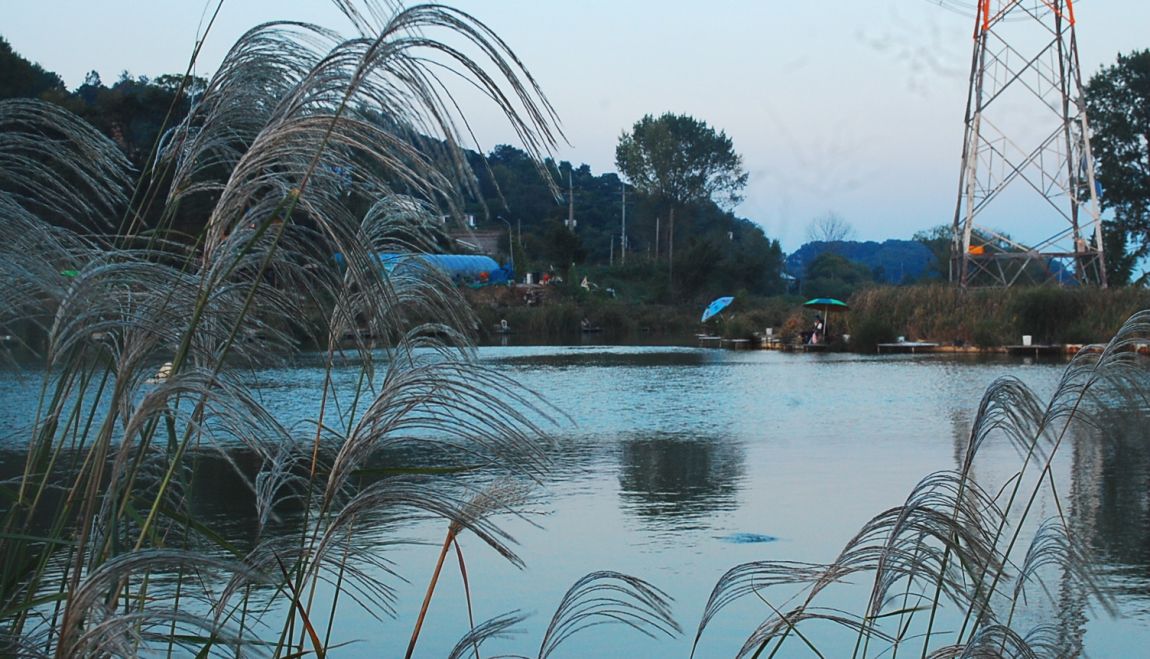 �ٹ̱�_DSC_0066.JPG