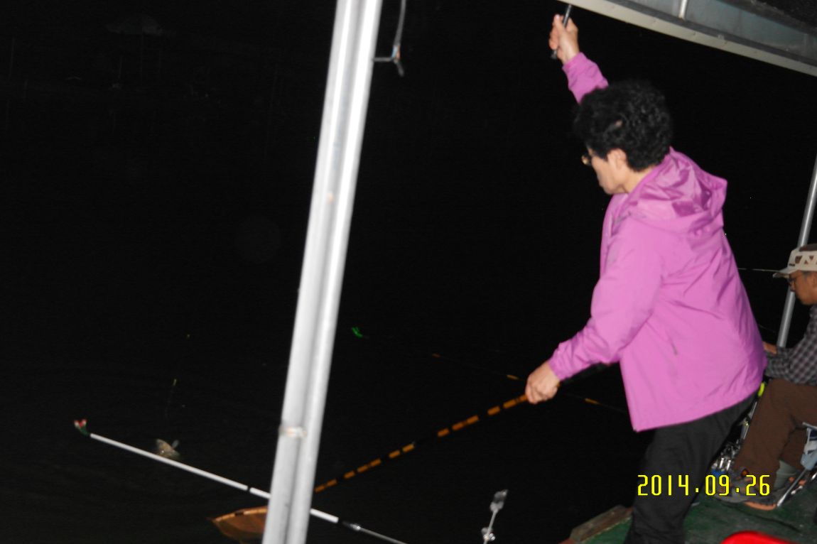 SAM_0987.JPG