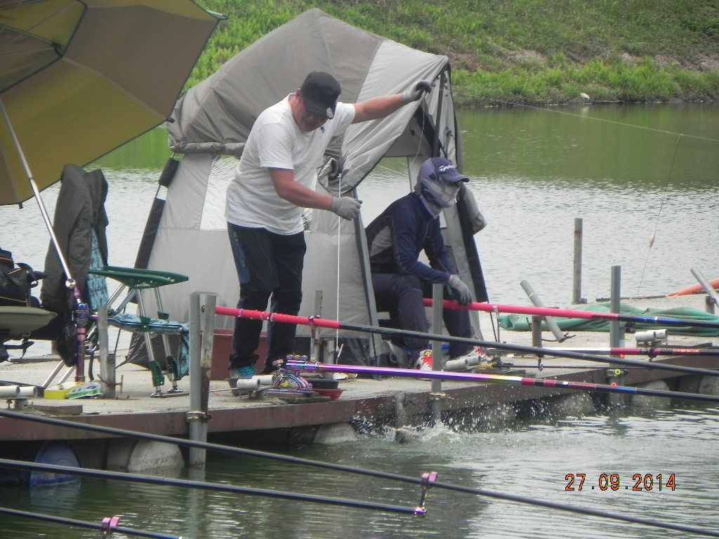 DSCN0184.JPG
