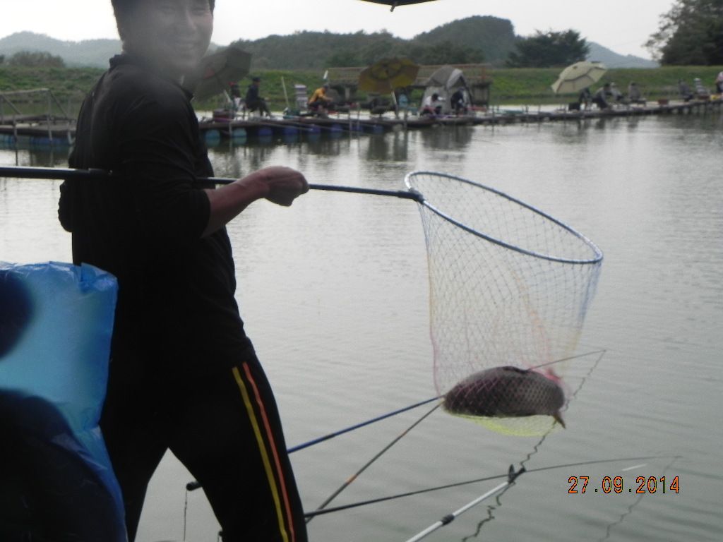 DSCN0201.JPG