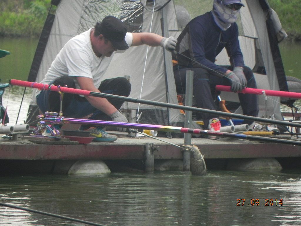 DSCN0202.JPG