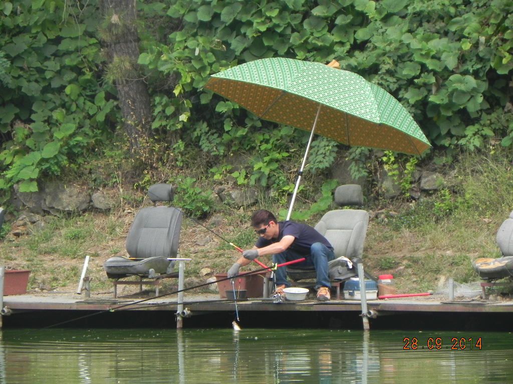DSCN0252.JPG