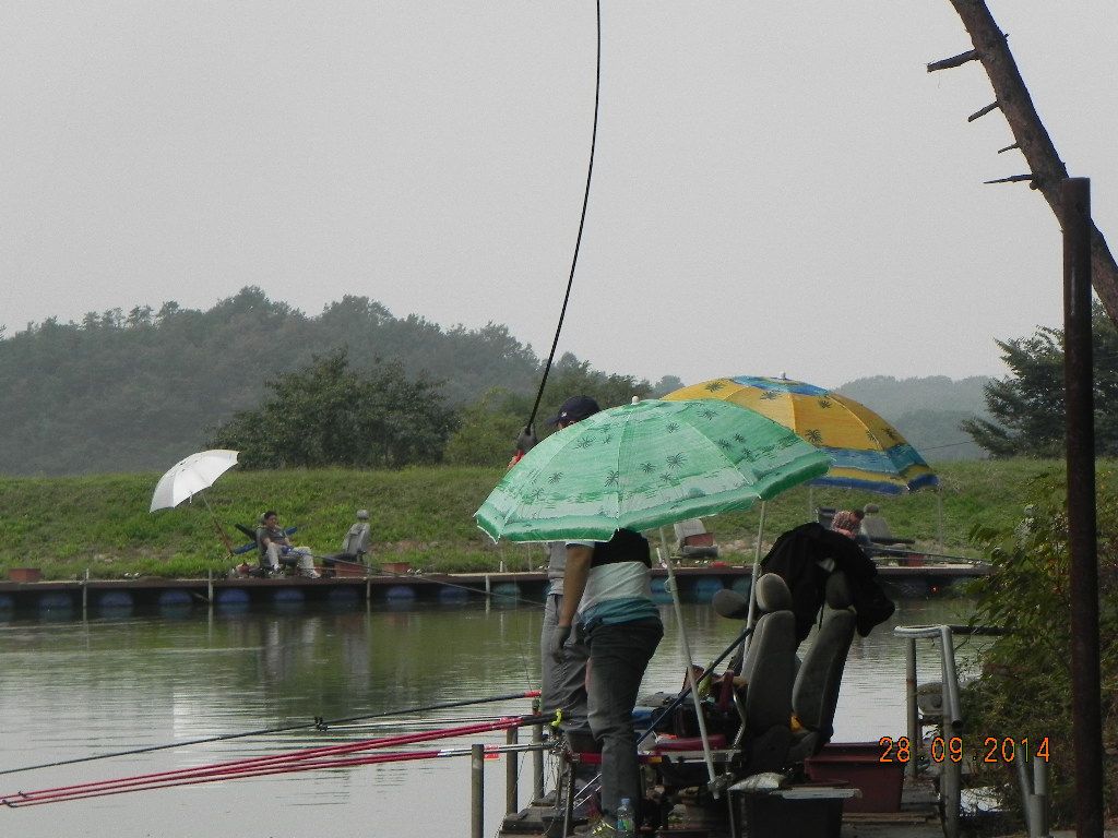 DSCN0260.JPG
