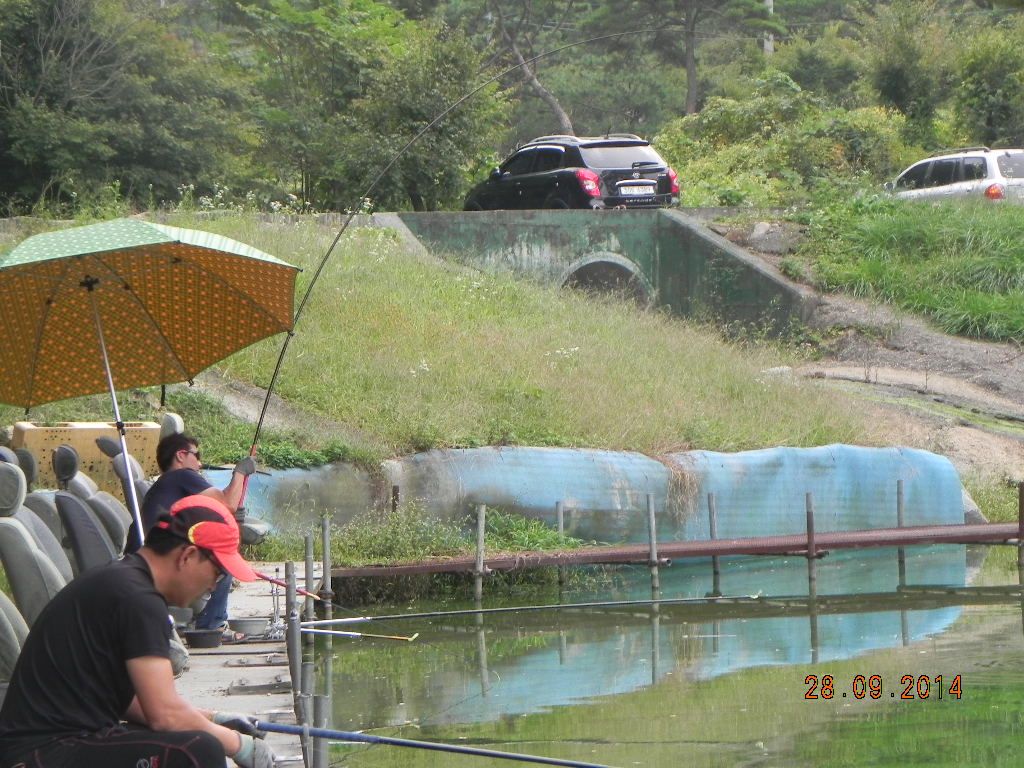 DSCN0264.JPG