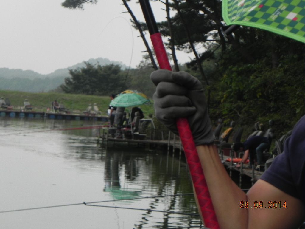 DSCN0265.JPG