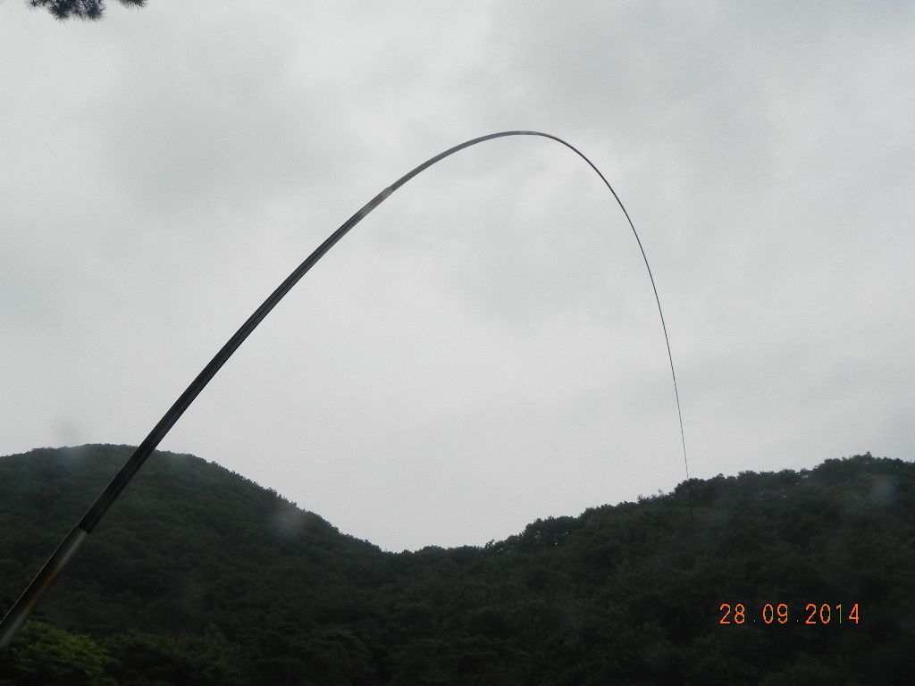 DSCN0285.JPG