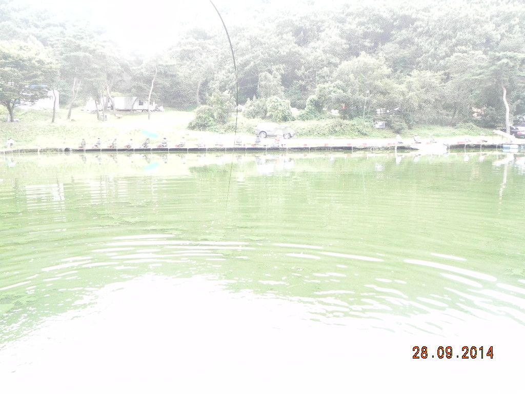 DSCN0292.JPG