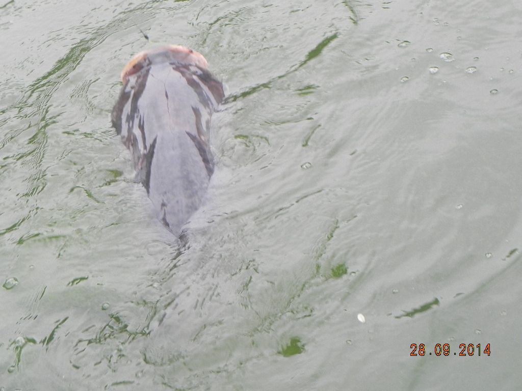DSCN0290.JPG